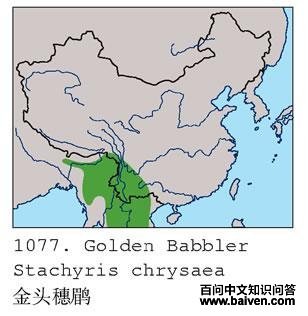 ��ͷ���̵ĵ����ֲ�ͼ