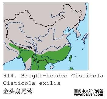 ��ͷ��βݺ�ĵ����ֲ�ͼ