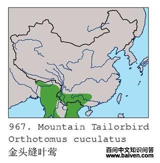 ��ͷ��Ҷݺ�ĵ����ֲ�ͼ