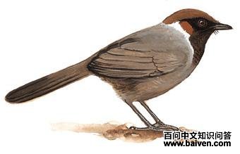 �׾����̵�ͼ��