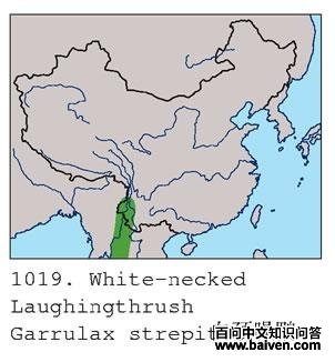 �׾����̵ĵ����ֲ�ͼ