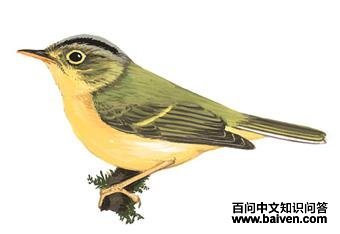 ����lݺ��ͼ��