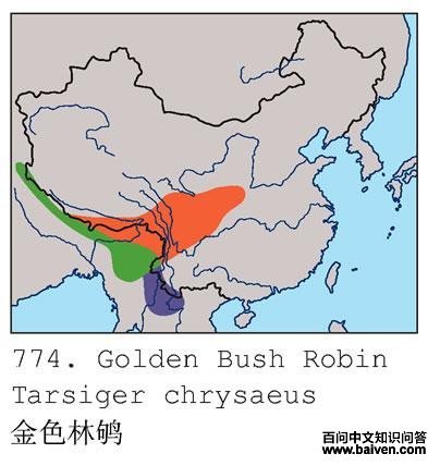 ��ɫ���ĵ����ֲ�ͼ