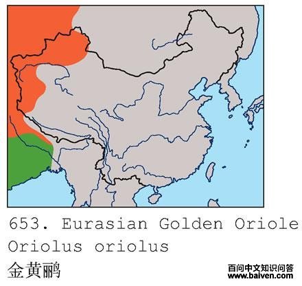 ����ĵ����ֲ�ͼ