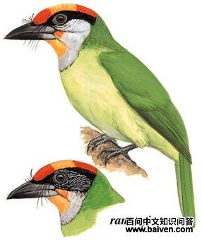 �������ľ���ͼ��