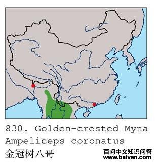 ������˸�ĵ����ֲ�ͼ