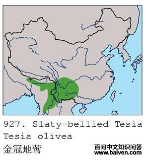 ��ڵ�ݺ�ĵ����ֲ�ͼ