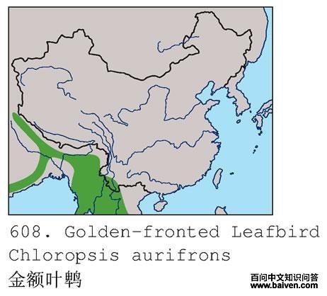 ���Ҷ�ǵĵ����ֲ�ͼ