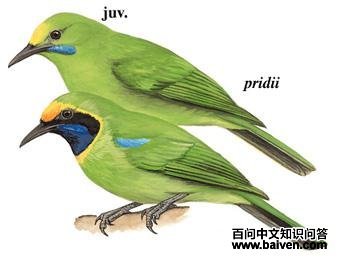 ���Ҷ�ǵ�ͼ��