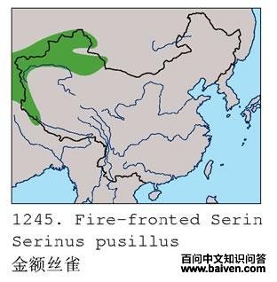 ���˿ȸ�ĵ����ֲ�ͼ