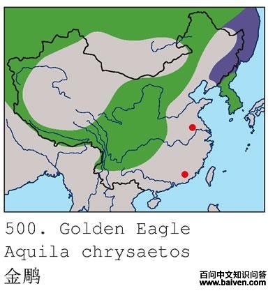 ���ĵ����ֲ�ͼ