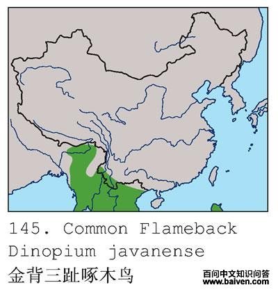 ����ֺ��ľ��ĵ����ֲ�ͼ