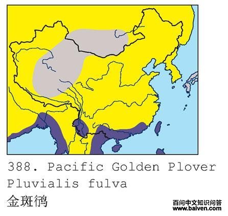 ����a�ĵ����ֲ�ͼ