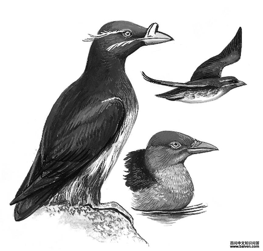 ���캣ȸ��ͼ��