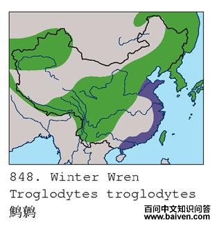 ���ӵĵ����ֲ�ͼ