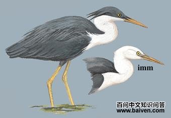 �׾����ص�ͼ��