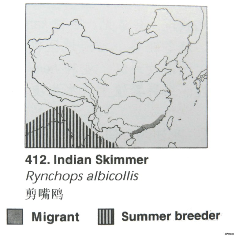 ����Ÿ�ĵ����ֲ�ͼ