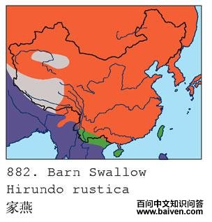 ����ĵ����ֲ�ͼ