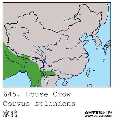 ��ѻ�ĵ����ֲ�ͼ