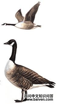 ���ô����ͼ��