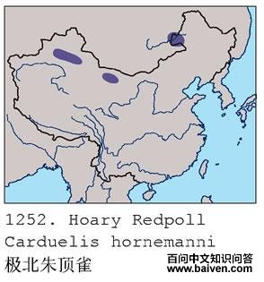 �����춥ȸ�ĵ����ֲ�ͼ