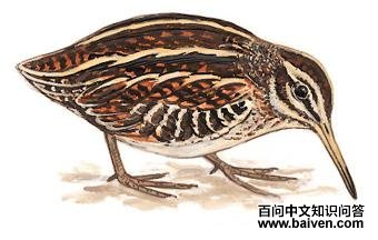 ���ֵ�ͼ��