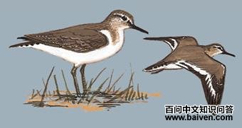 ���ֵ�ͼ��