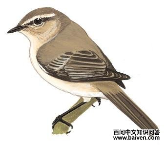 ߴզ��ݺ��ͼ��