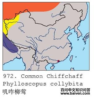 ߴզ��ݺ�ĵ����ֲ�ͼ