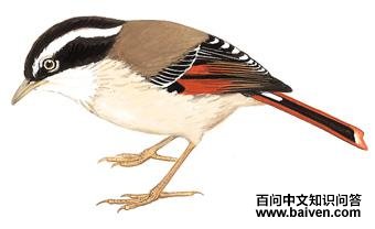 ��βϣ�̵�ͼ��