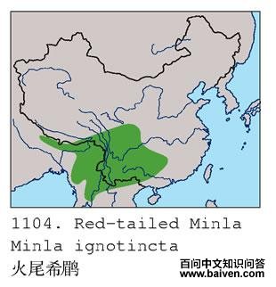 ��βϣ�̵ĵ����ֲ�ͼ