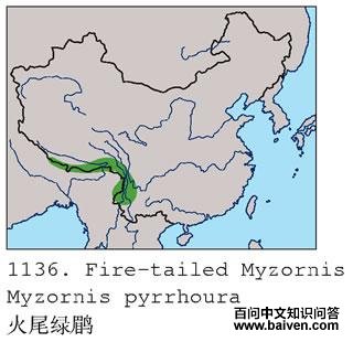 ��β���̵ĵ����ֲ�ͼ