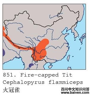 ���ȸ�ĵ����ֲ�ͼ