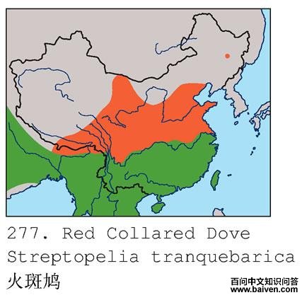 ����ĵ����ֲ�ͼ