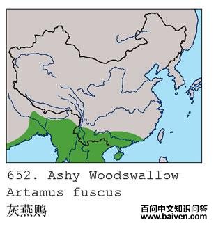 �����V�ĵ����ֲ�ͼ