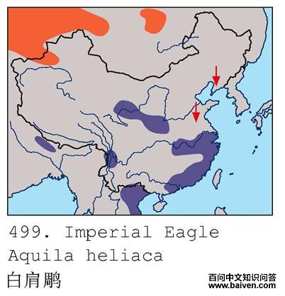 �׼��ĵ����ֲ�ͼ