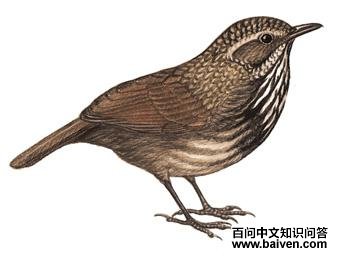 �������̵�ͼ��