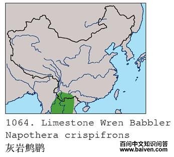 �������̵ĵ����ֲ�ͼ