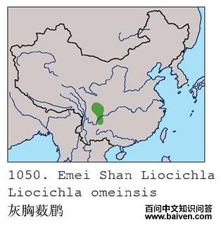 ����޴�̵ĵ����ֲ�ͼ