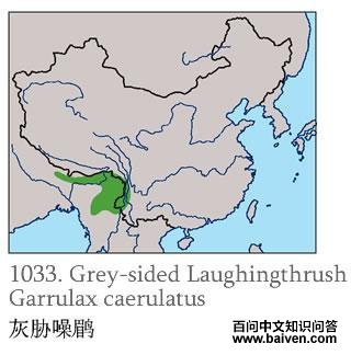 ��в���̵ĵ����ֲ�ͼ