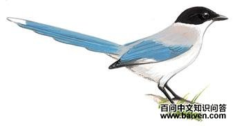 ��ϲȵ��ͼ��