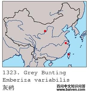 ���c�ĵ����ֲ�ͼ