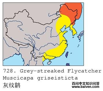 �����l�ĵ����ֲ�ͼ