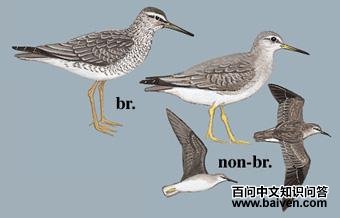 ��β[Ư]�ֵ�ͼ��