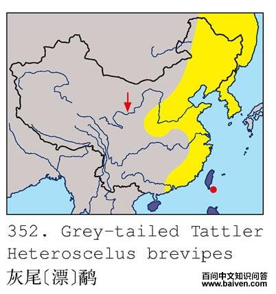 ��β[Ư]�ֵĵ����ֲ�ͼ