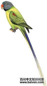 ��ͷ���ĵ�ͼ��