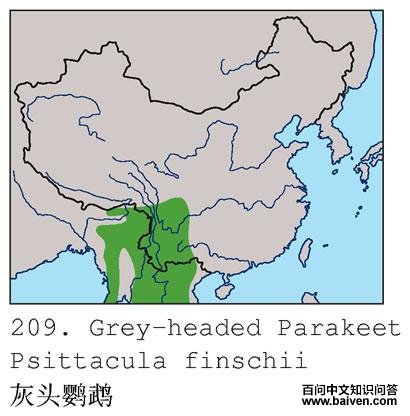 ��ͷ���ĵĵ����ֲ�ͼ