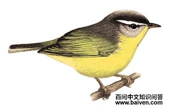 ��ͷ�lݺ��ͼ��