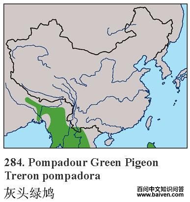 ��ͷ���ĵ����ֲ�ͼ