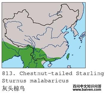 ��ͷ���ĵ����ֲ�ͼ